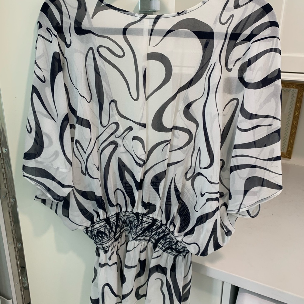 Club Monaco sheer blouse